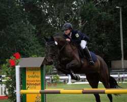 jumper Skipper 90 (German Sport Horse, 2009, from Simonetti)