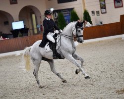 dressage horse Rolex 99 (Bavarian, 2005, from Rivero II)