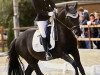 dressage horse Bon Cello (German Riding Pony, 2011, from Batman)