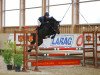 jumper Ms Dragonfly B (Irish Sport Horse, 2013, from Cap Nord d'Hyrencourt)