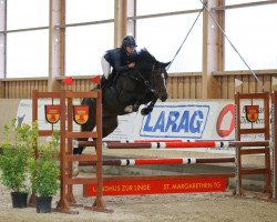 jumper Ms Dragonfly B (Irish Sport Horse, 2013, from Cap Nord d'Hyrencourt)