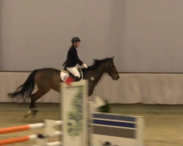 Münster-Handorf 2014