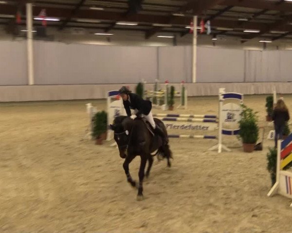 Münster-Handorf 2014