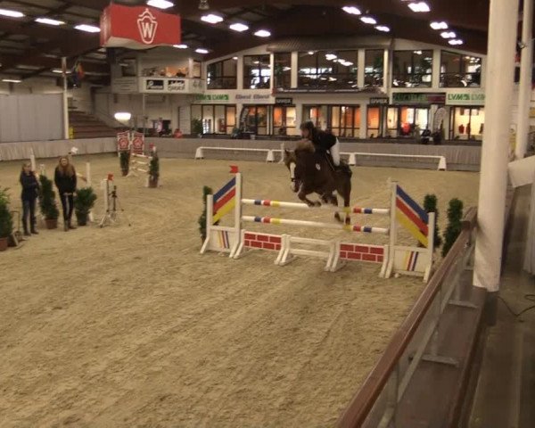 Münster-Handorf 2014