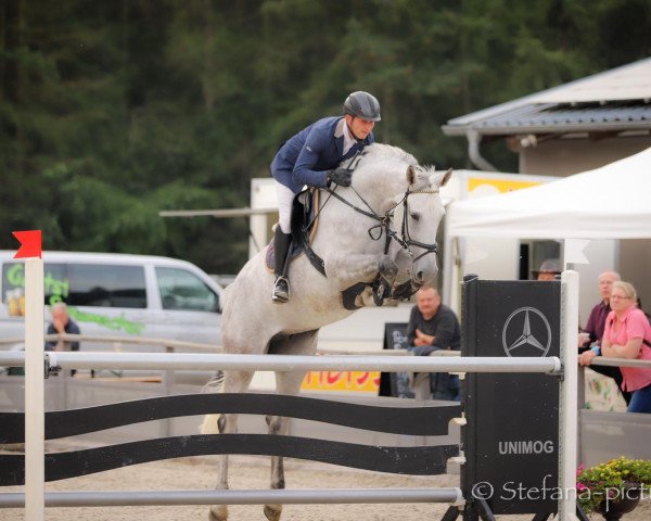 broodmare Gepsom Silver (German Sport Horse, 2013, from Gepsom)