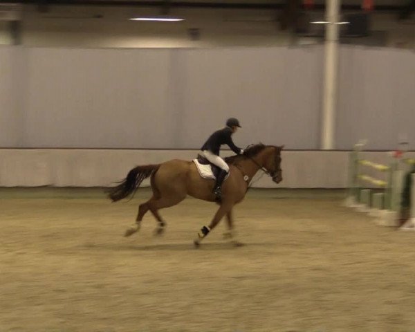 Münster-Handorf 2014