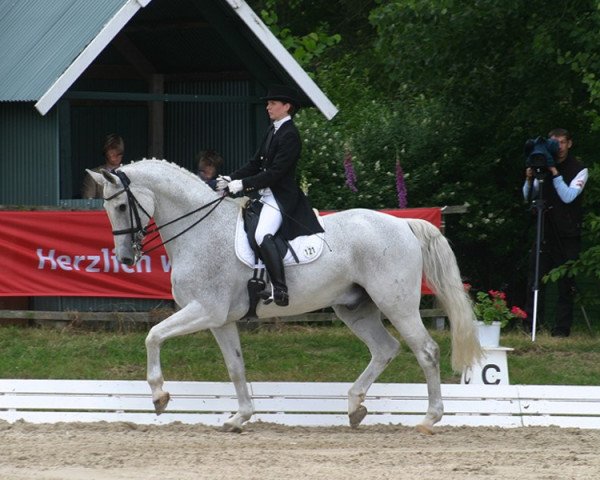 dressage horse Cabalero 5 (Hanoverian, 1997, from Calido I)