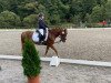 broodmare Magic Lady 24 (German Riding Pony, 2012, from Samorens Maestro)