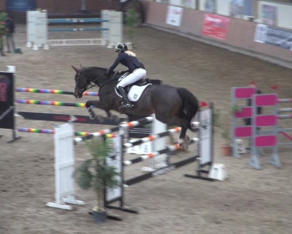 Reitturnier Grevenbroich - Gut Neuhaus 2021