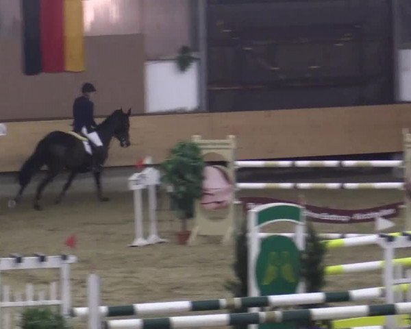 22. Großes Hallen-Springturnier 2014 - Alt Marl