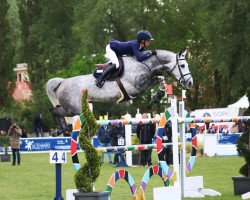 jumper Arqana de Riverland (Selle Français, 2010, from Cornet Obolensky)