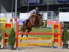 jumper Calimera XI (Swiss Warmblood, 2005, from Coka)