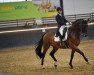 dressage horse Donau Earl (Trakehner, 2007, from Le Rouge 7)