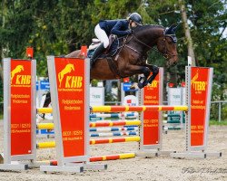 jumper Despacito Joe (German Sport Horse, 2015, from Dinken)