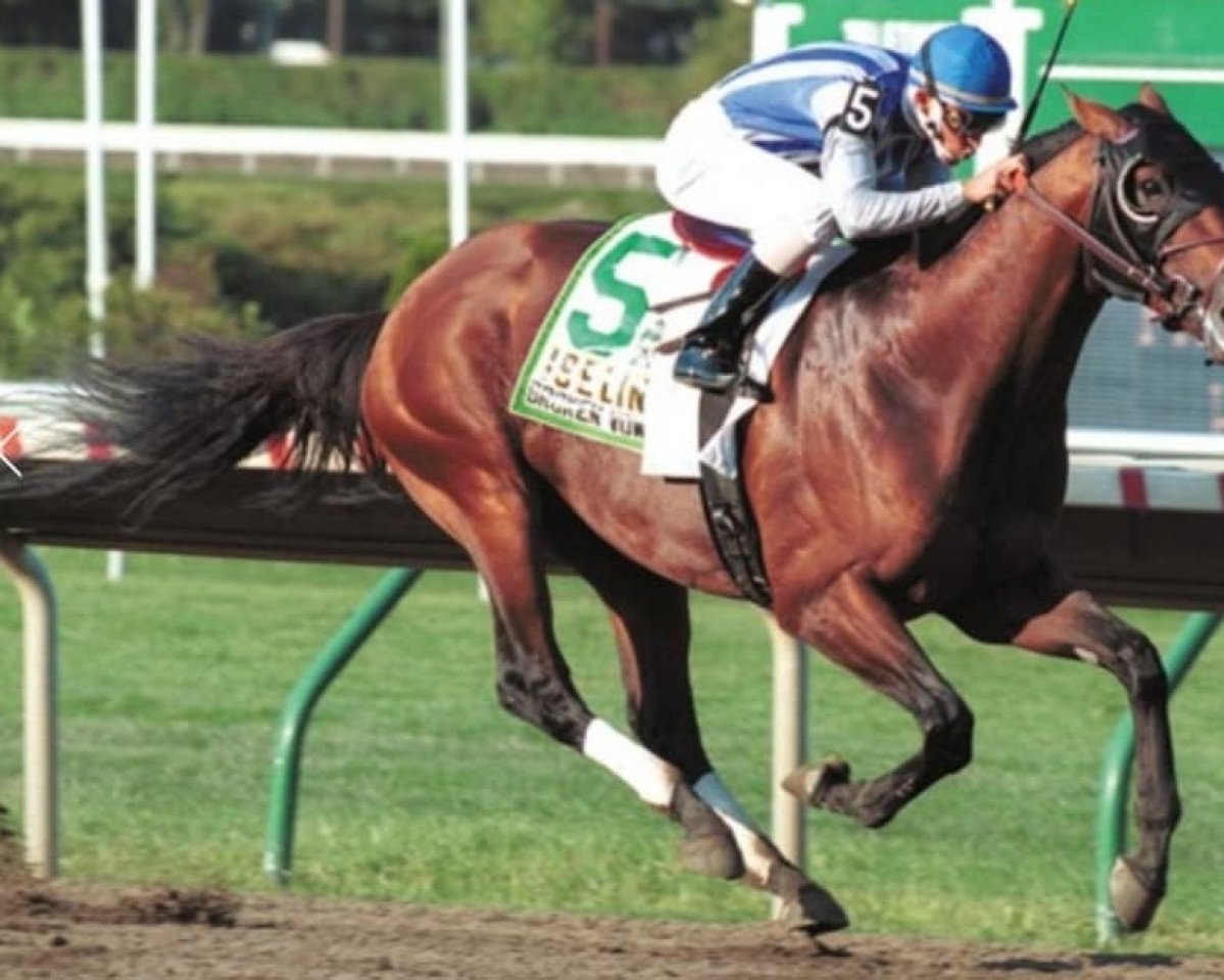 stallion Broken Vow xx (Thoroughbred, 1997, from Unbridled xx)
