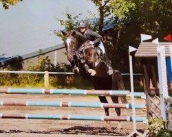 jumper Coronado del Robles (Aegidienberger, 2006, from Payaso del Robles)