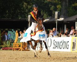 Springpferd Cocominka EST (Rheinländer, 2011, von Cassini Boy Junior)