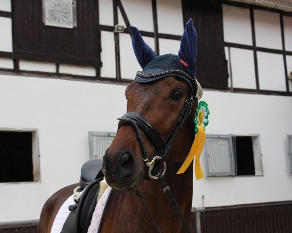 Dressurpferd Replay K (Westfale, 2015, von Real Grandios)