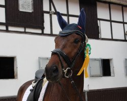 dressage horse Replay K (Westphalian, 2015, from Real Grandios)