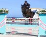 jumper Pironella (Canadian Warmblood, 2005, from Nonstop)