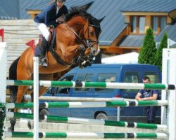 jumper Cedric Croft (Czech Warmblood, 2006, from Cocon)