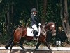 stallion Maltashof Indoctro (Welsh-Cob (Sek. D), 2014, from Llangattock Triple Crown)