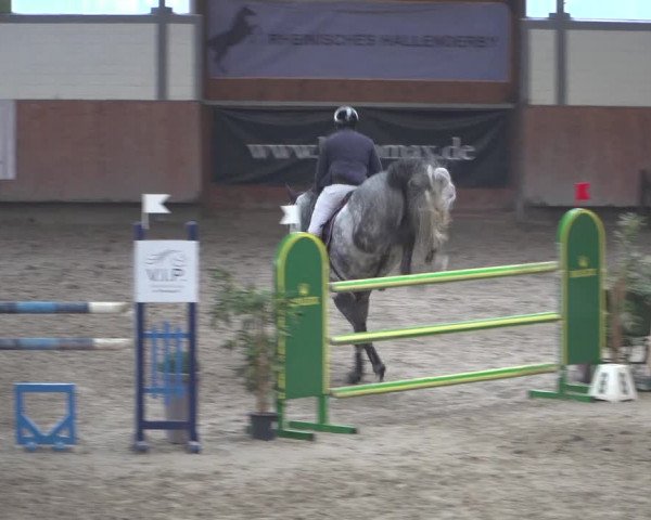 Reitturnier Grevenbroich - Gut Neuhaus 2021