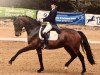 dressage horse Lou Lou Vier 2 (Oldenburg, 2005, from Levernois)