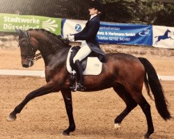 dressage horse Lou Lou Vier 2 (Oldenburg, 2005, from Levernois)