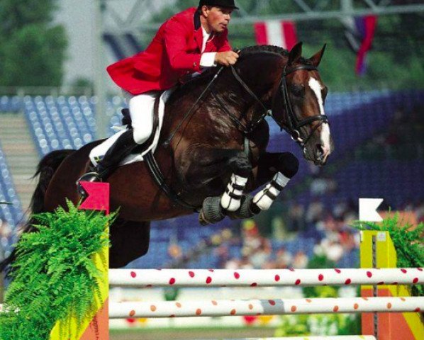 horse Robin II Z (Hanoverian, 1987, from Ramiro Z)