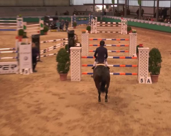 Hallenturnier Gahlen 2015