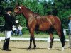 broodmare Mona Lisa (Hanoverian, 1992, from Maurice)