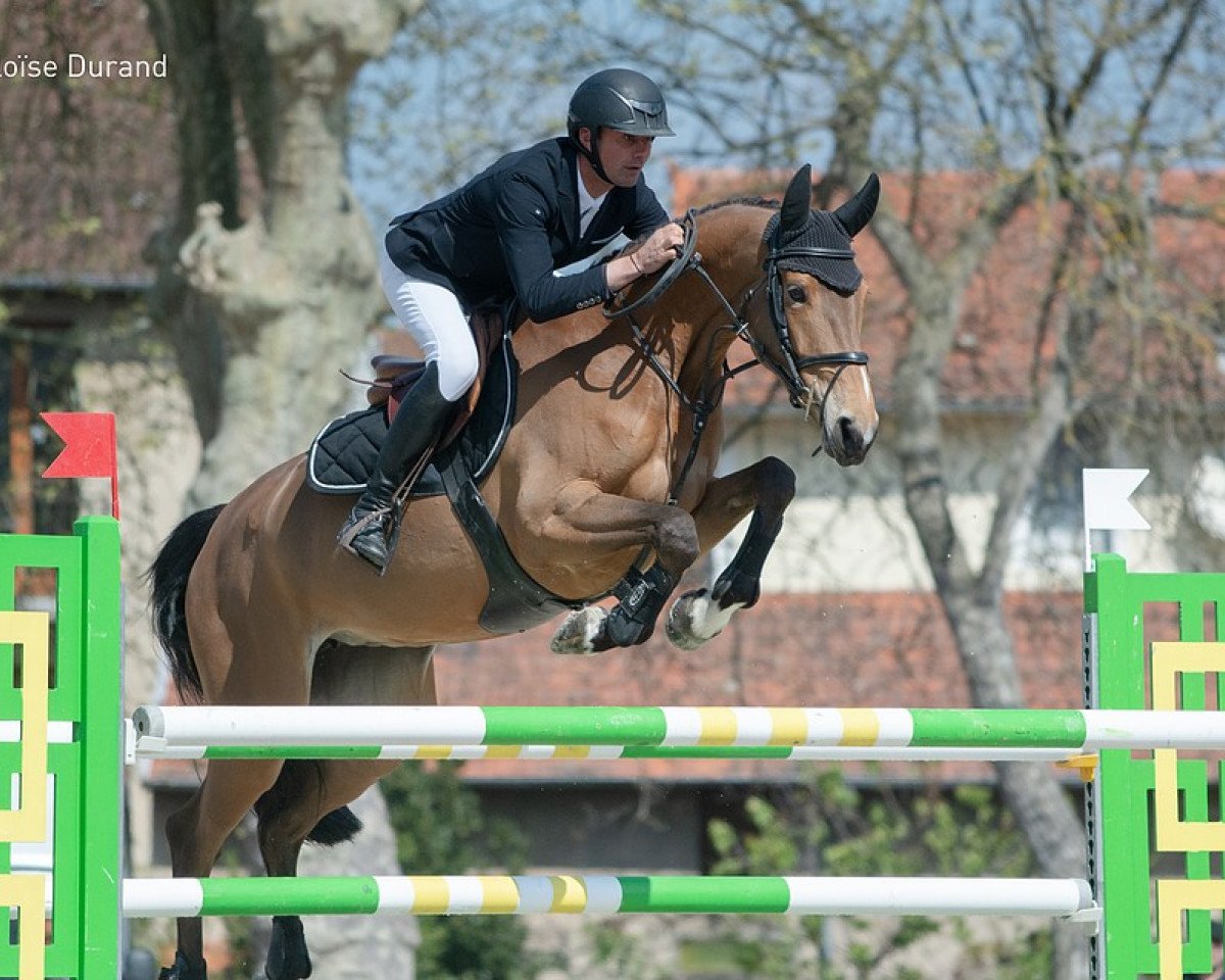 broodmare Byzance de Vains (Selle Français, 2011, from Ogano Sitte)