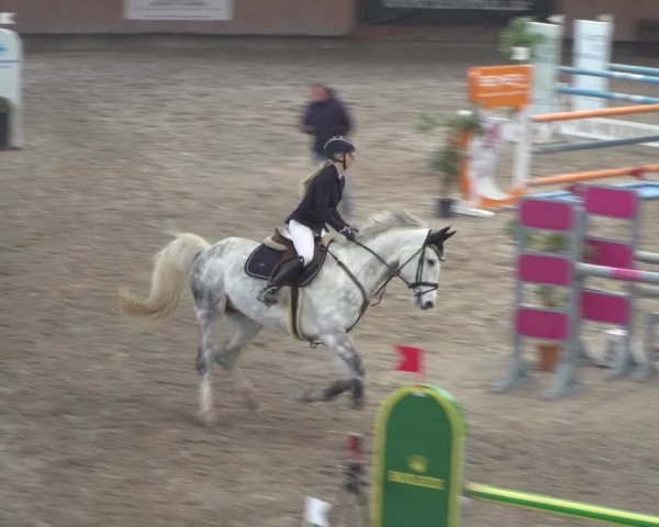 Reitturnier Grevenbroich - Gut Neuhaus 2021