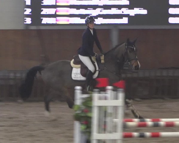 Reitturnier Grevenbroich - Gut Neuhaus 2021