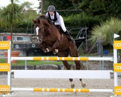 Zuchtstute Wanya de L'Ile CH (Schweizer Warmblut, 2005, von Wandango)