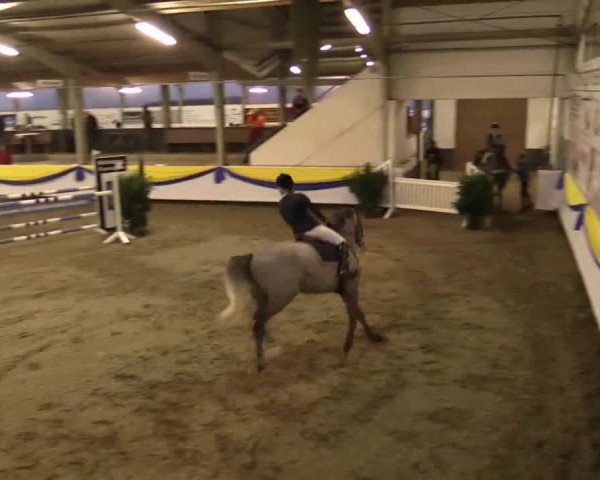23. Grosses Hallenspringturnier Vreden