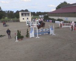 jumper Checker (German Warmblood, 2014, from Clarcon)