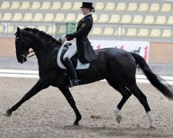 broodmare Debbie 46 (Hanoverian, 2002, from Dacaprio)