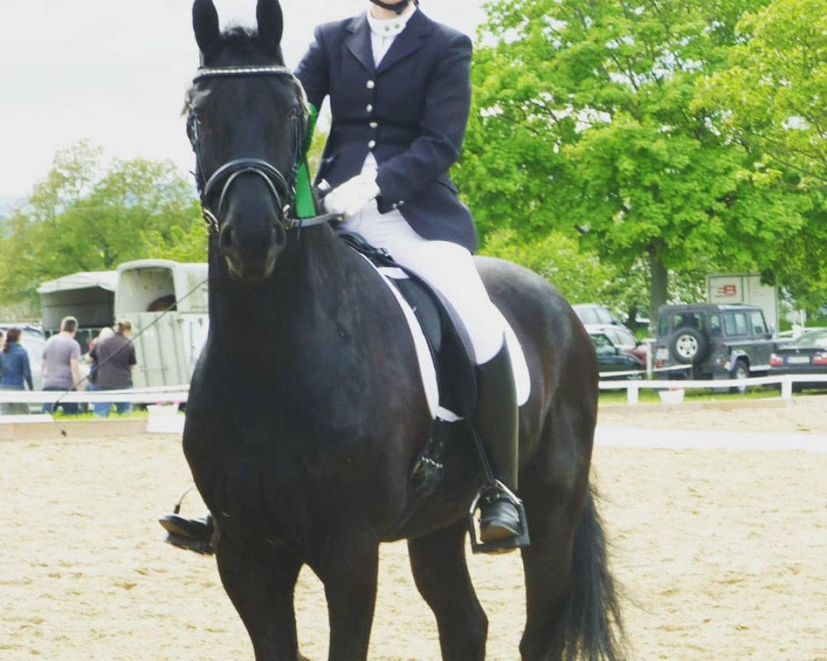 Dressurpferd Thoma van de Batouwe (KWPN (Niederländisches Warmblut), 0000, von Brend)