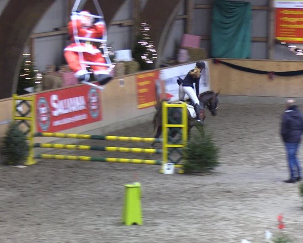 Reitturnier Leck 2021