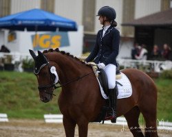 dressage horse Guck da bin ich (Oldenburg, 2014, from Cennin)