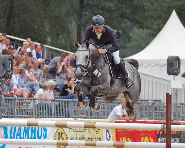 jumper Cato 86 (German Sport Horse, 2012, from Cornet Obolensky)