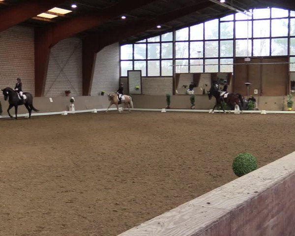 Reitturnier Kamen 2021