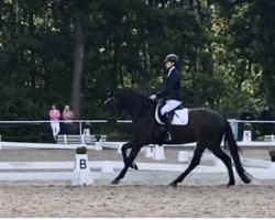 dressage horse Quelle Jolie Fleur (Hanoverian, 2016, from Quaterhall)