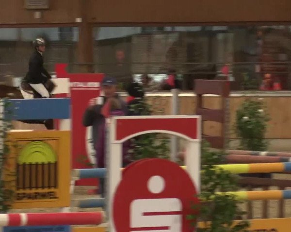 Late Entry Südlohn-Oeding 2015