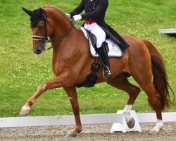 dressage horse Atterupgaards Cassidy (Danish Warmblood, 2003, from Caprimond)