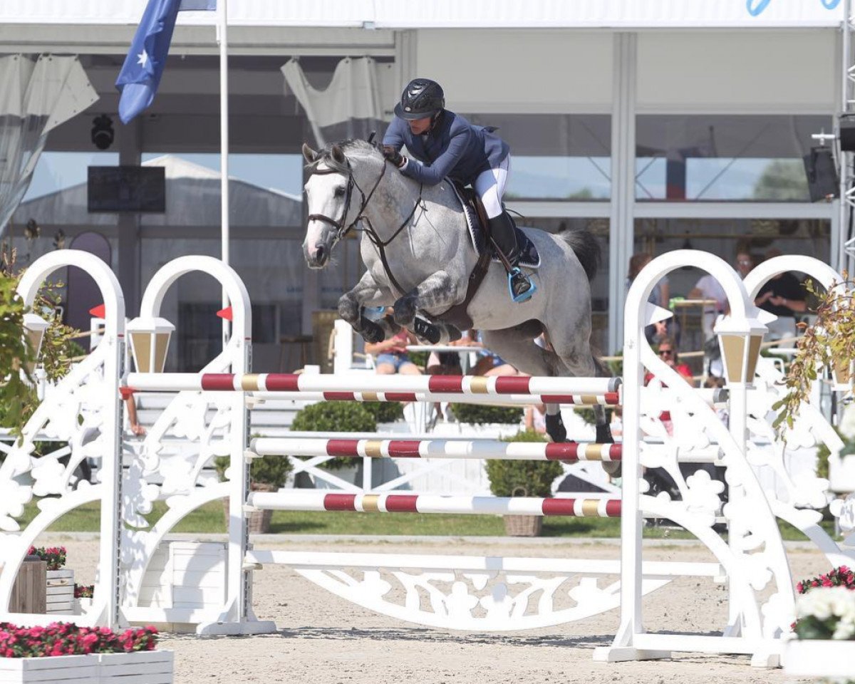 Springpferd Jade van Dorperheide (Belgisches Warmblut, 2009, von Zilverstar T)