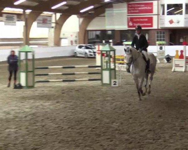 Hallenspringturnier Barlo Bocholt 2015