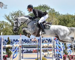 jumper Freesby de Vy (R.O.) (Belgium Sporthorse, 2011, from Deister)